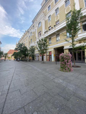 Central studio flat Cluj Napoca